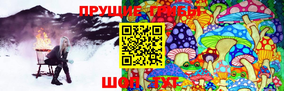 Галлюциногенные грибы Psilocybine cubensis  Вход с VPN  Кимры 